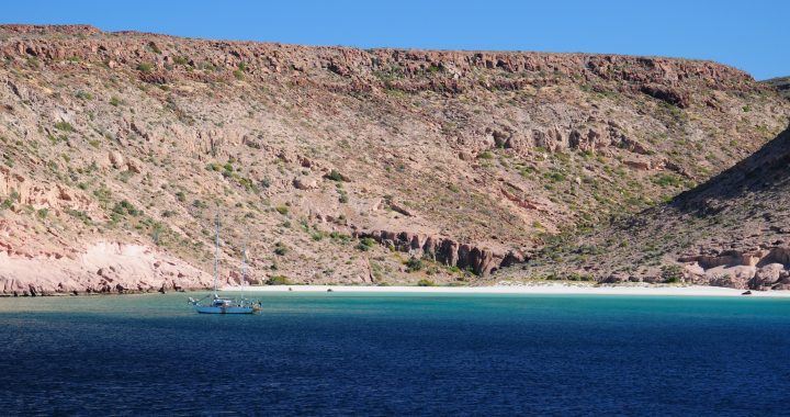 Sea of Cortez
