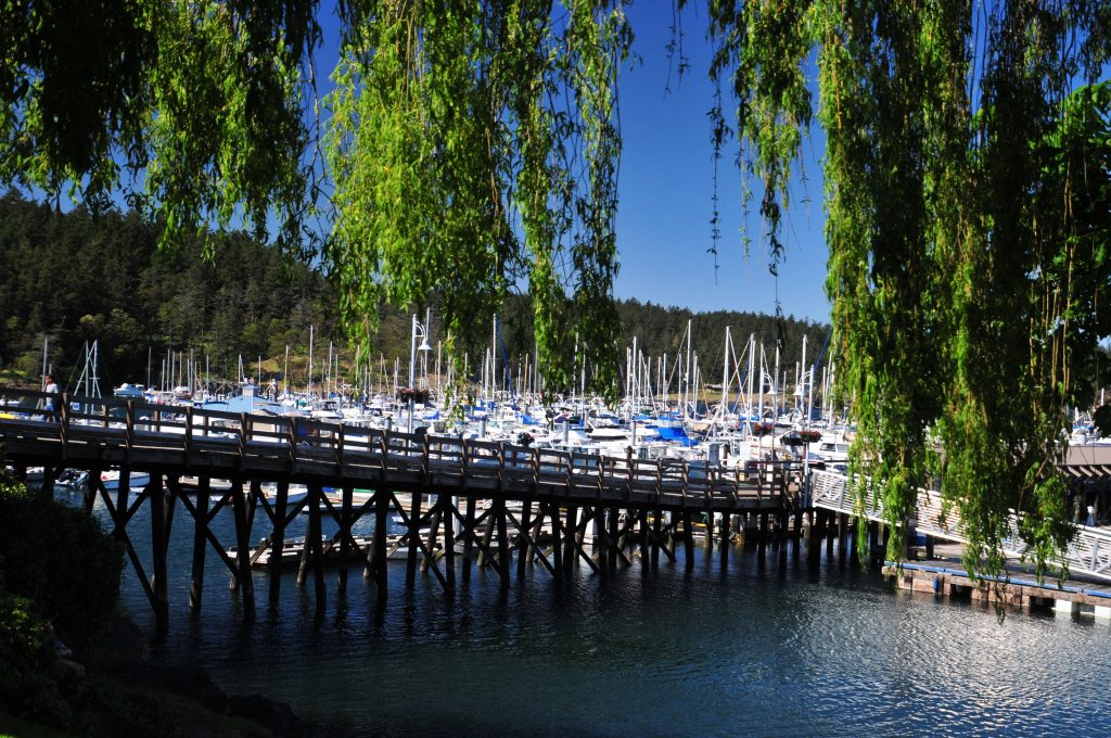 Friday Harbor
